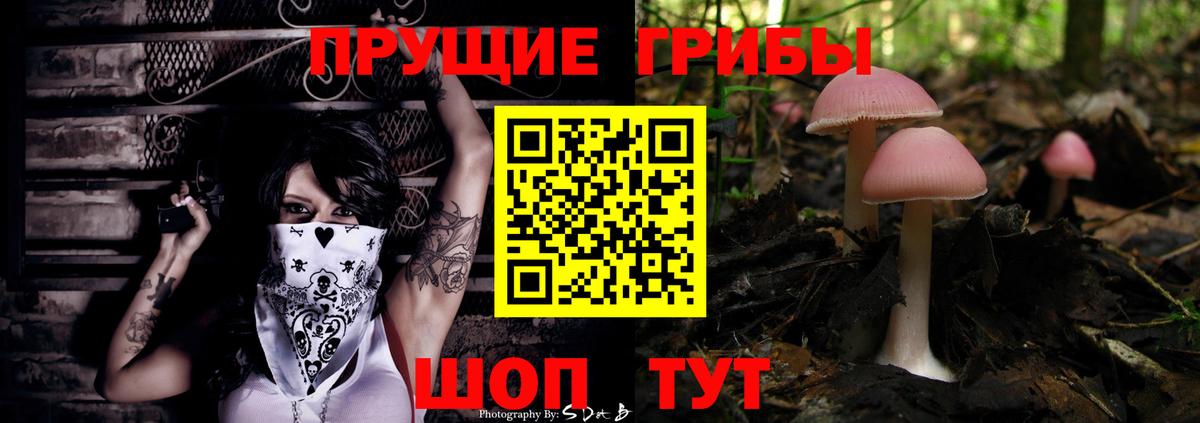 Псилоцибиновые грибы GOLDEN TEACHER  Вход с VPN  Дзержинск 